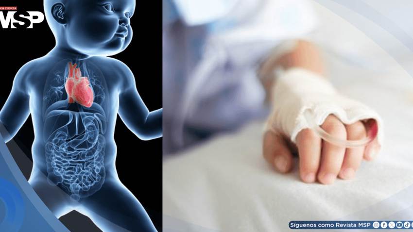 Un corazón puede salvar a dos niños: Así funcionan los trasplantes parciales para cardiopatías congénitas