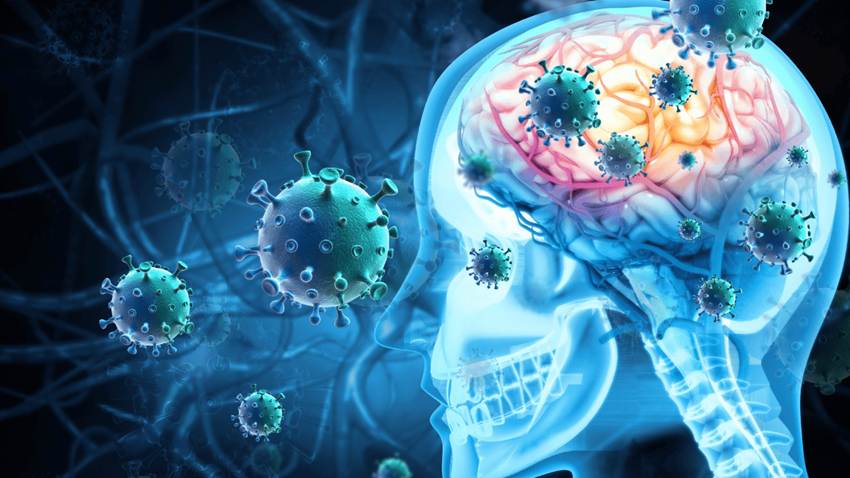 OMS lanza directrices globales para enfrentar la meningitis, que afecta a 2,5 millones de personas al año