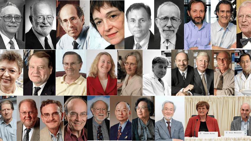 Dos décadas de descubrimientos: últimos 20 ganadores de premios Nobel en Fisiología o Medicina