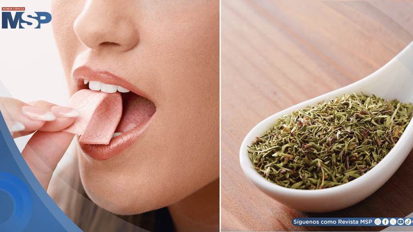Desarrollan chicle que detecta la gripe al liberar sabor a tomillo: identifica el virus antes de síntomas