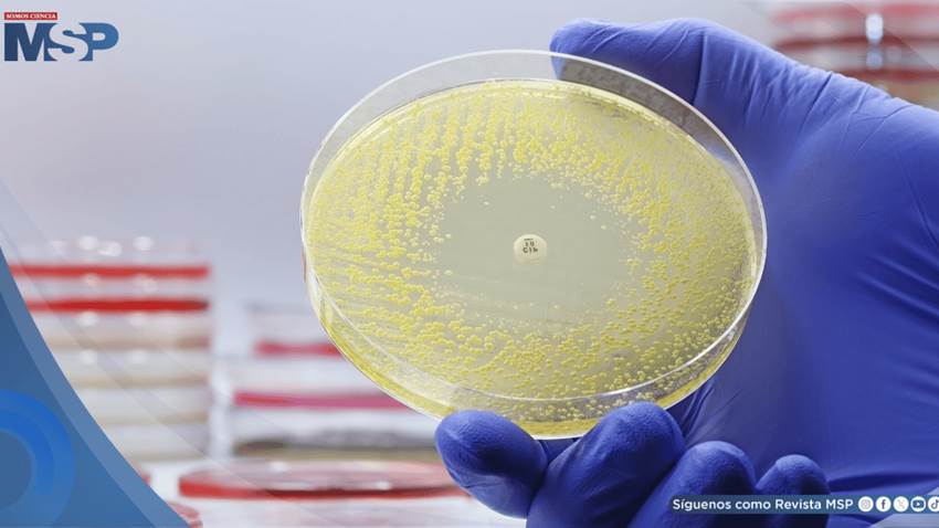 Inteligencia artificial generativa abre camino a nuevos antibióticos contra la resistencia bacteriana