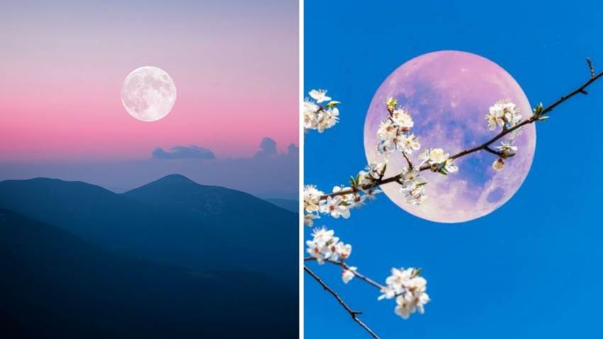 Mira las mejores fotos de la superluna rosa: fue espectacular