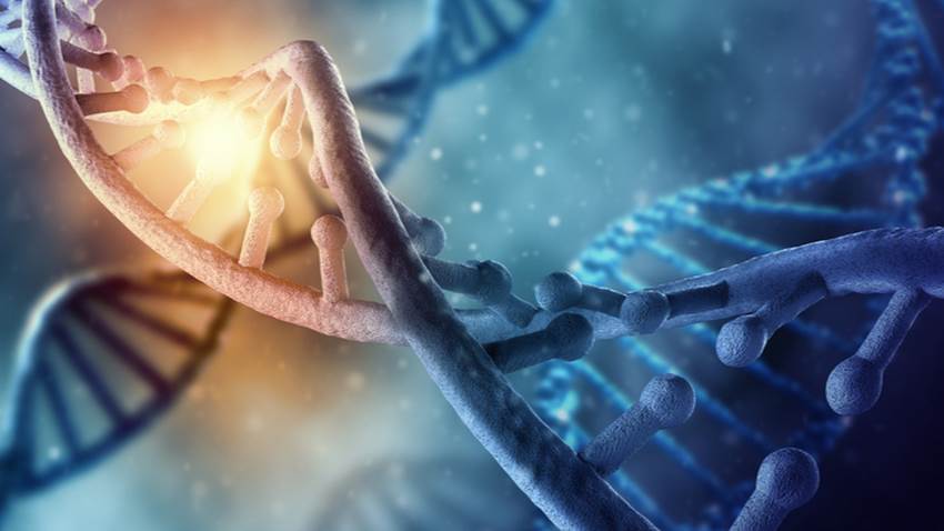 Relación genética entre pacientes crónicos por SARS-CoV-2 y el neandertal