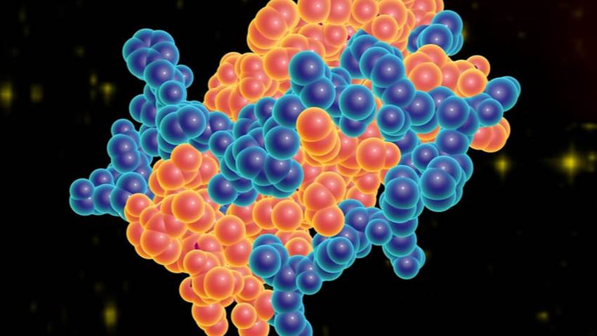 Hormona leptina explicaría la gravedad de COVID-19 en pacientes obesos