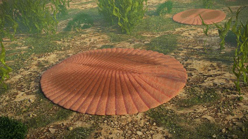 El animal más antiguo del planeta fue encontrado: ¡tiene más de 890 millones de años!