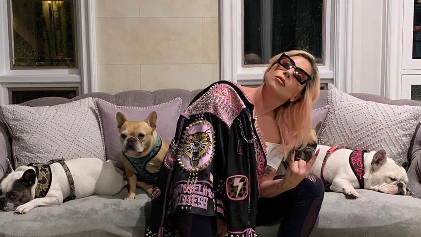 Lady Gaga: mujer que ayudó a rescatar a sus perros, sospechosa del secuestro