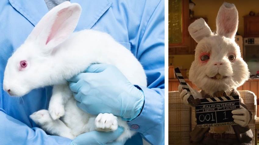 Se prohíben las pruebas en animales en México: Ralph estaría orgulloso de la nueva ley