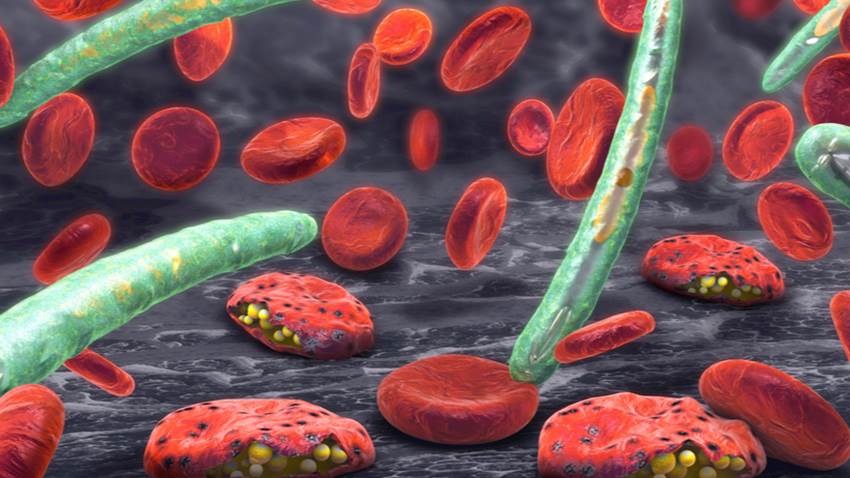 Alerta en la comunidad científica por adaptabilidad del parásito de la malaria