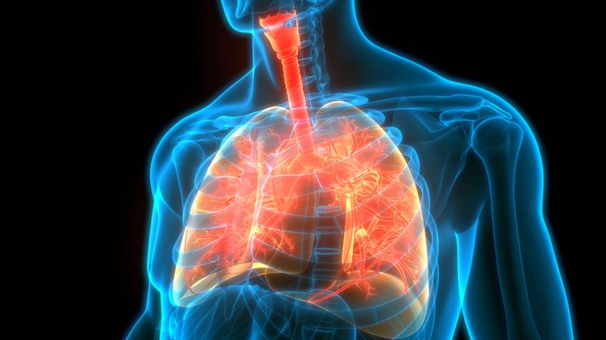 ¿Dificultad para respirar? Estas son las señales de alarma y las medidas para prevenir riesgos