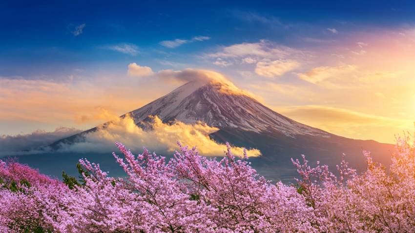 Si viajas a Japón hay 7 cosas que nunca debes hacer (ni se te ocurra dejar propina)