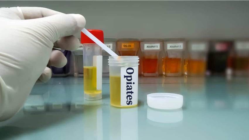 Confirman serio problema de abuso de opiáceos en institución penal de Puerto Rico