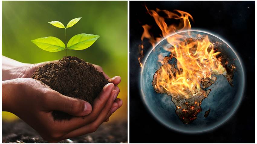 ¡Plantar árboles ya no puede salvarnos! El CO2 en nuestro planeta llegó a niveles excesivos