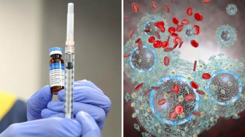 ¿Por qué la vacuna de COVID llegó tan rápido y la de SIDA ha tardado décadas? La ciencia lo explica