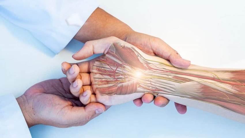 Desarrollan método de inteligencia artificial para analizar la actividad motora de la mano