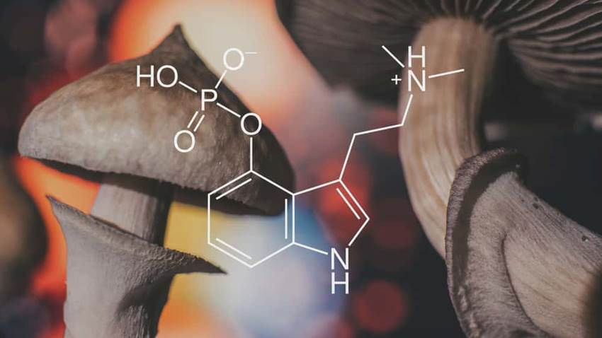 El alucinógeno psilocibina podría reducir la depresión resistente a tratamiento