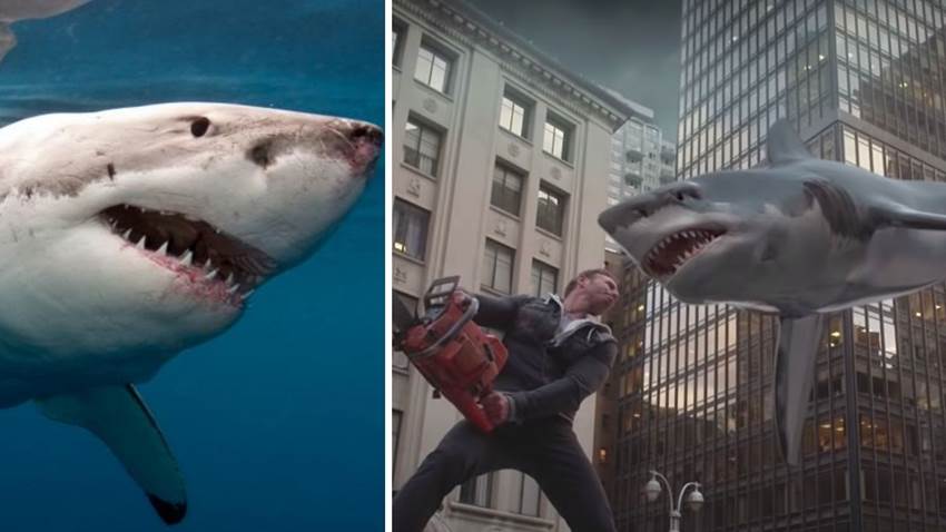 ¿Qué pasa cuando los tiburones se encuentran con un huracán en el mar? No es un Sharknado