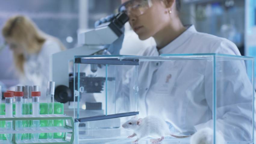 Nuevo fármaco inhibidor del cáncer de pulmón, páncreas e intestino