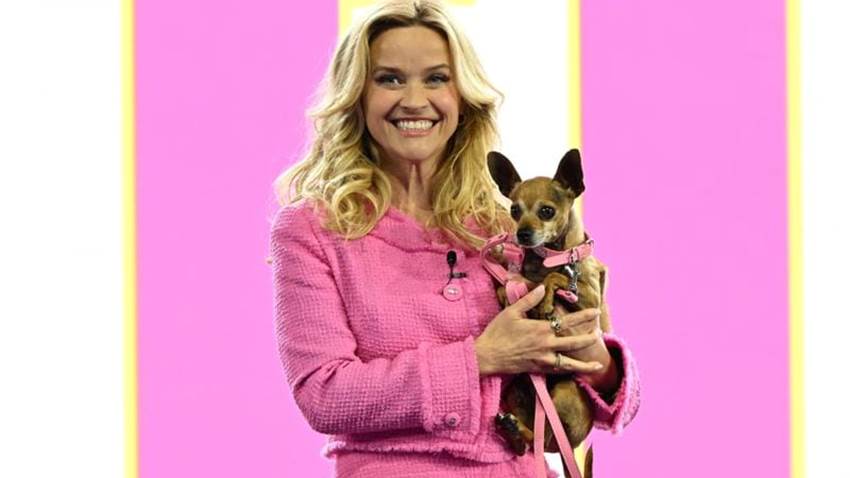 ¡Elle Woods está de vuelta! Reese Witherspoon se convierte en ‘legalmente rubia’ 21 años después