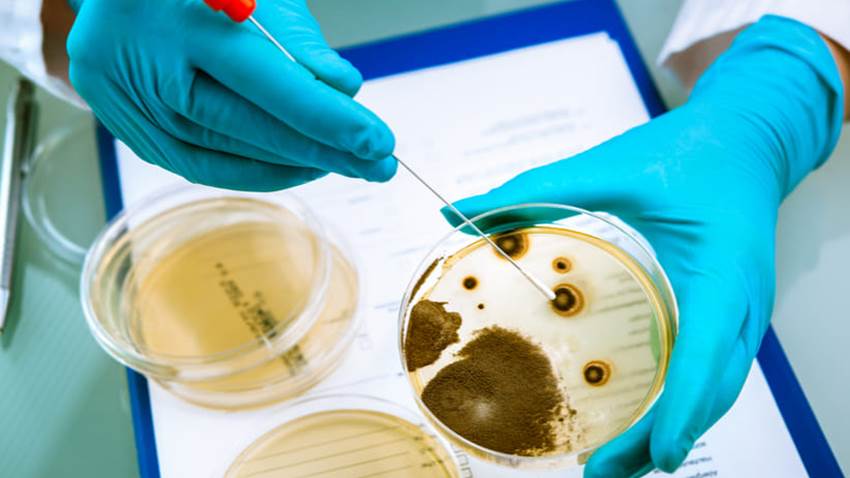 Ser alérgico a los antibióticos e ingerirlos crearía ‘resistencia antibiótica’