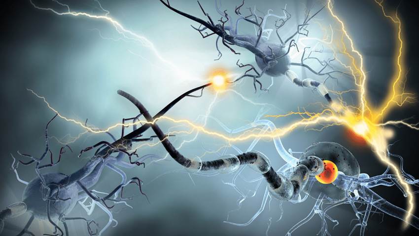 Un estudio indica que la mortalidad por epilepsia está aumentando