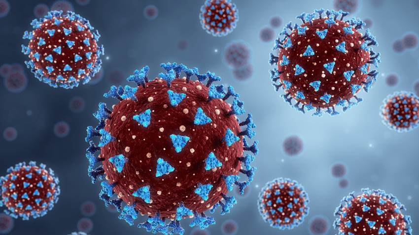 OMS califica de preocupante nueva variante descubierta en Sudáfrica llamada Omicron