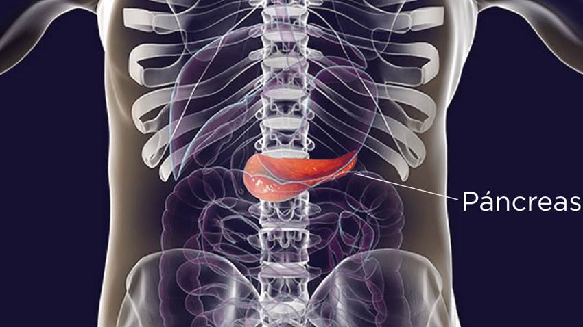 Estudio muestra resultados en tratamiento con implante de células madre en pacientes con diabetes tipo 1