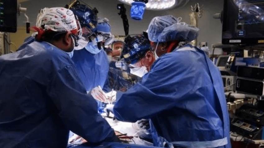 Trasplantan por primera vez el corazón de un cerdo a un humano en Estados Unidos