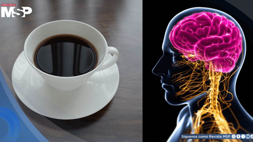 Descubren que dos tazas de café al día podrían reducir un 18% el riesgo de demencia