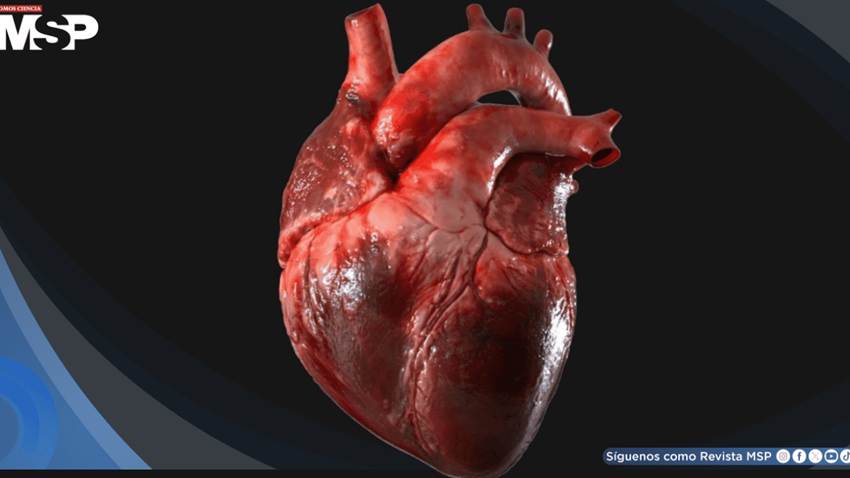 ¿Qué son las palpitaciones y cuando podrían revelar una posible arritmia?