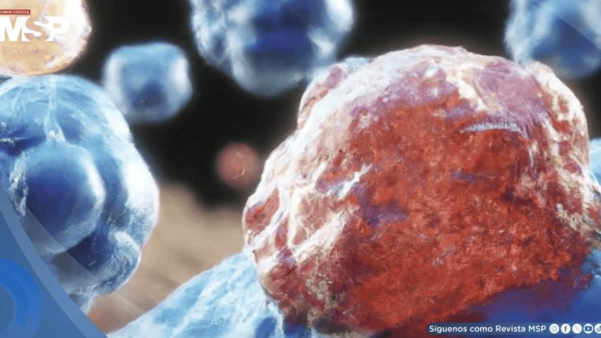 Investigadores revierten células cancerosas de colon y cerebro en saludables mediante regulación genética