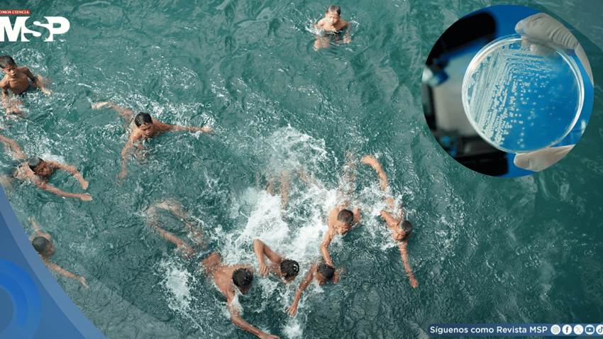 Vibrio vulnificus: qué hay detrás de la llamada bacteria 