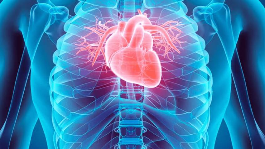 Cirugía histórica: Realizan primer trasplante de corazón sin que deje de latir