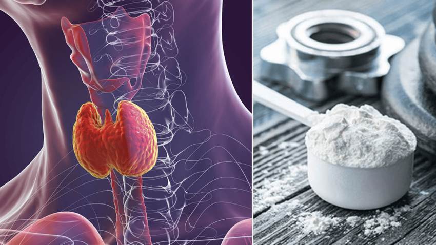 Creatina y medicación para tiroides: Riesgo de complicaciones en el equilibrio de líquidos y electrolitos