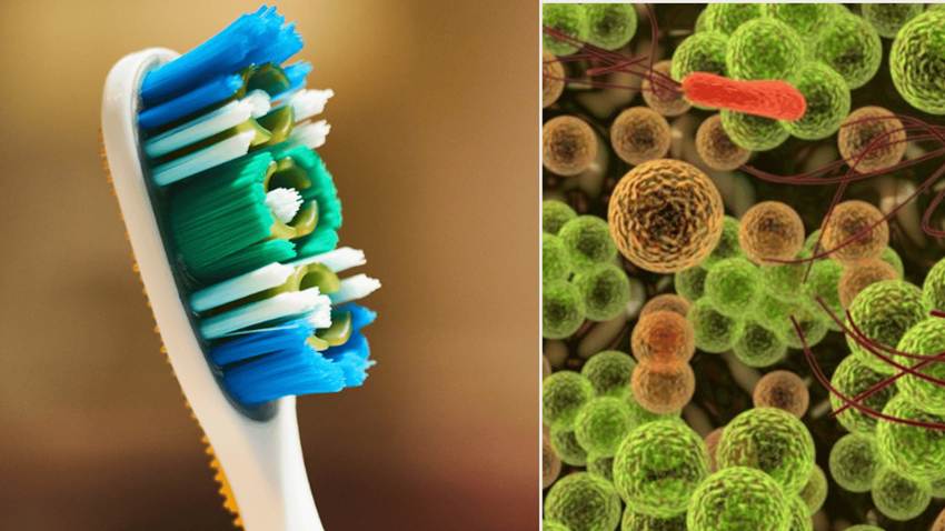 Una ortodoncista recomienda guardar el cepillo de dientes seco y en vertical para prevenir bacterias