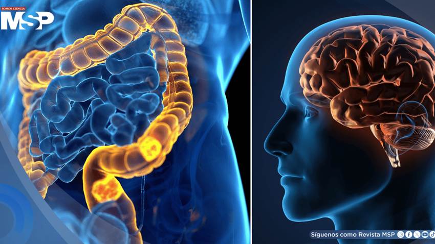 Los ritmos circadianos alterados aumentan el riesgo de cáncer colorrectal, revela estudio