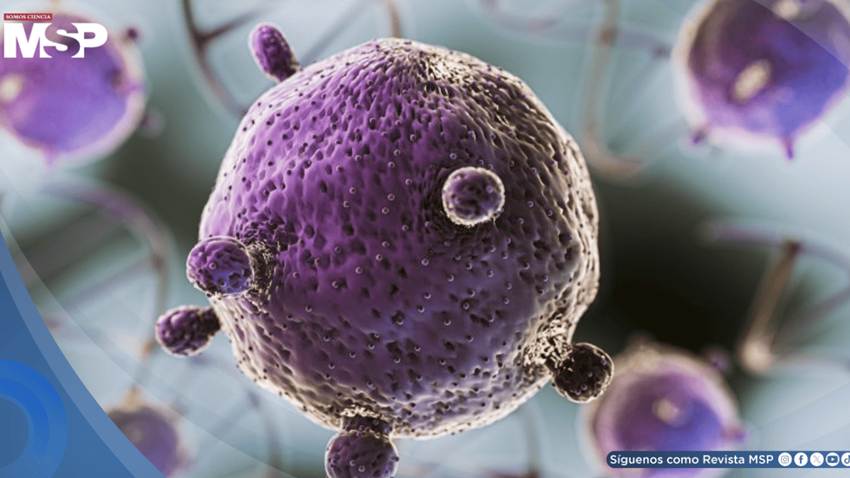 Crean una bacteria que mejora el metabolismo sin necesidad de restricciones alimentarias
