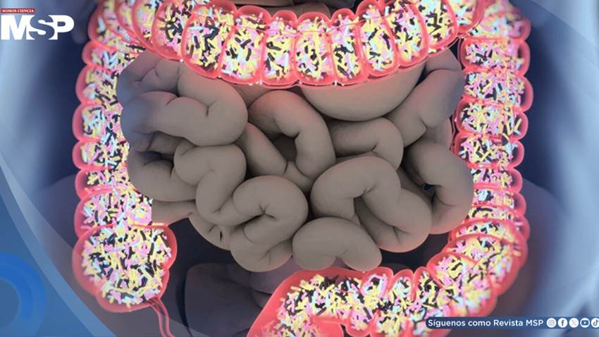Alteraciones en la microbiota aumentan el riesgo de cáncer colorrectal en personas con obesidad, estudio