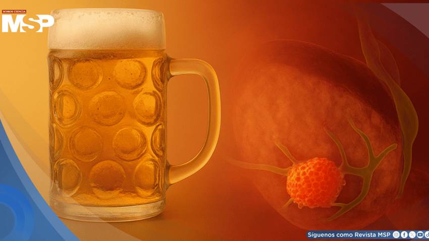 Consumo diario de alcohol eleva hasta en un 15% el riesgo de cáncer de páncreas, según estudio