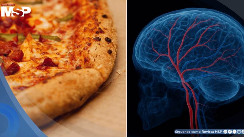Descubren que una sola pizza a la semana podría alterar el flujo sanguíneo cerebral: Estudio