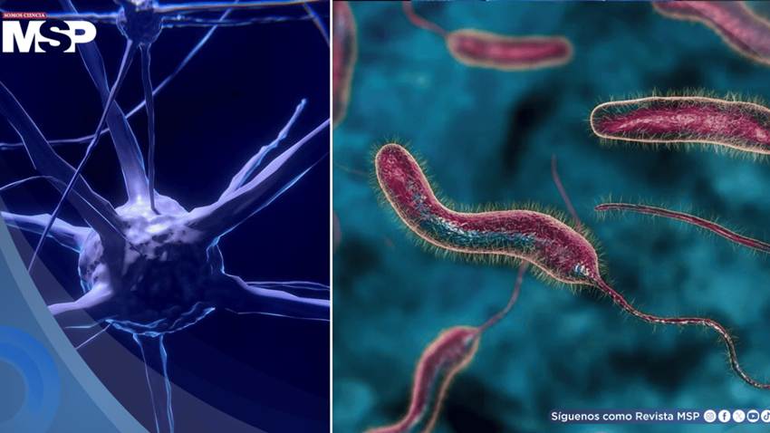 Científicos descubren que una proteína del cólera podría provocar la autodestrucción de células de cáncer