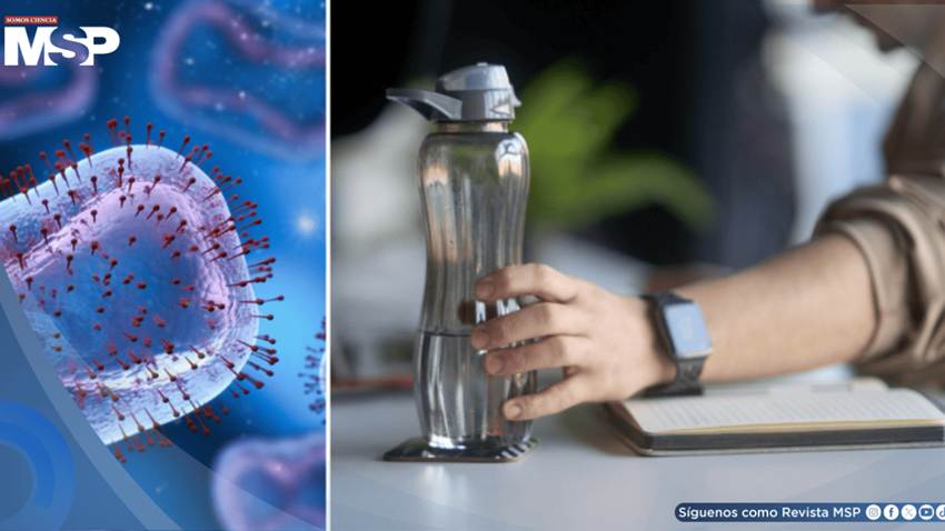 Termos reutilizables podrían acumular más bacterias que un inodoro si no se lavan a diario
