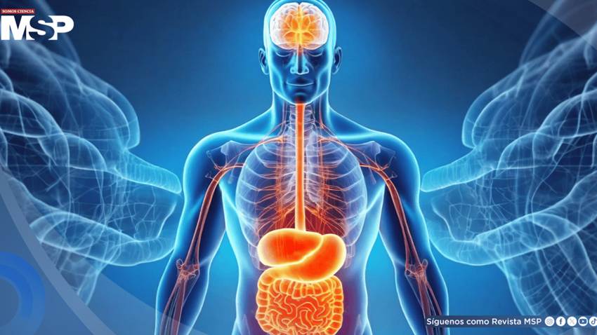 Estas son las 4 señales físicas que el cuerpo envía cuando está sobrecargado por el estrés