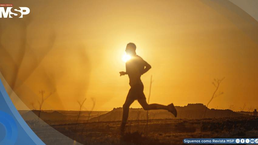 Altas temperaturas: las claves para hacer ejercicio sin poner en riesgo tu salud