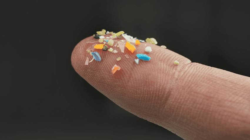 Microplásticos presentes en el ambiente podrían afectar la salud reproductiva, digestiva y respiratoria
