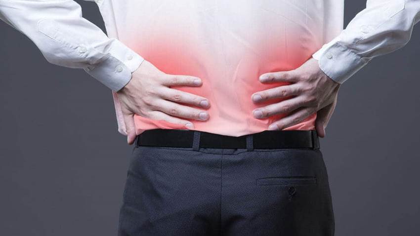 La melatonina protege del daño renal provocado por la obesidad asociada a la diabetes