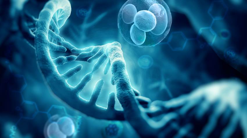 Mutación de un gen sería impulsor en el desarrollo del sarcoma de Ewing