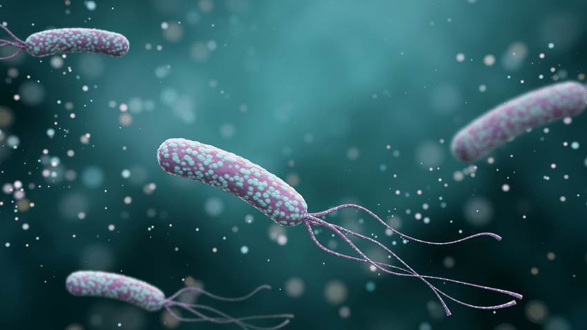 Errores en el tratamiento de Helicobacter pylori