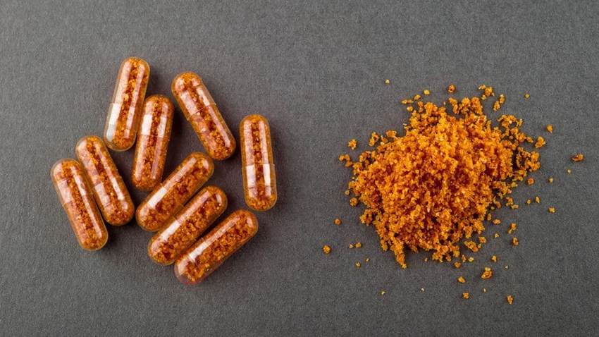 Trasplante fecal podría revertir signos del envejecimiento cerebral, según estudio