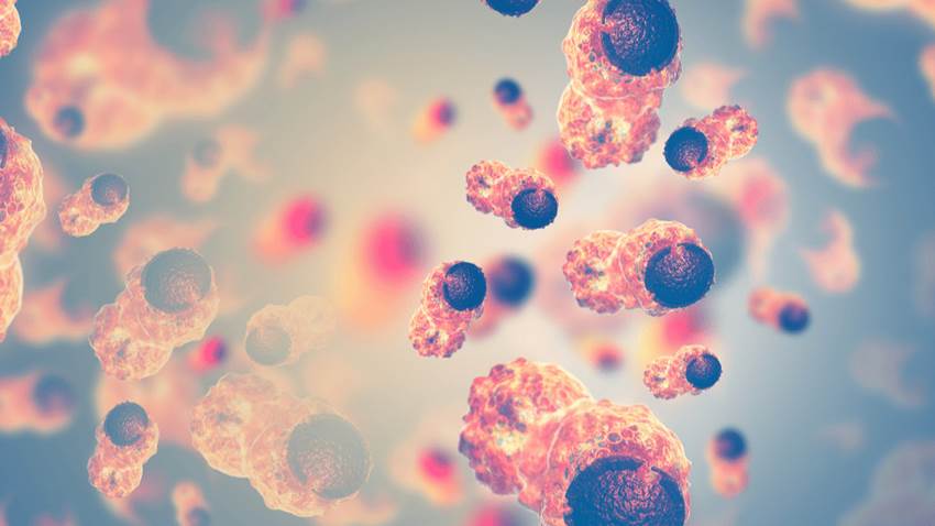 Nuevo procedimiento daría luz verde para el uso de inmunoterapia en más tipos de cáncer