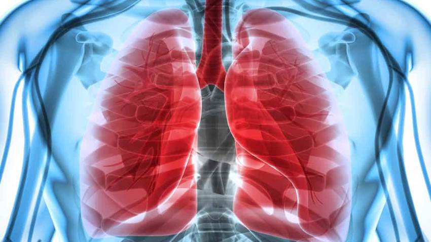 ¿Por qué al beber no llega líquido a los pulmones? Descubren células que protegen las vías respiratorias